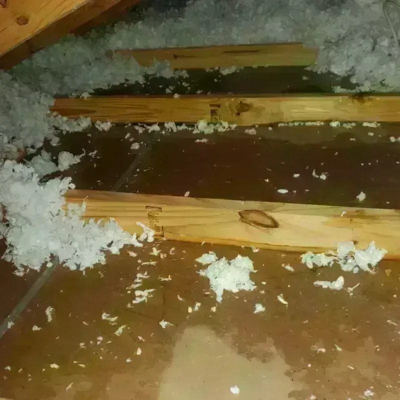 Attic Water Damage in Las Palmas II, TX