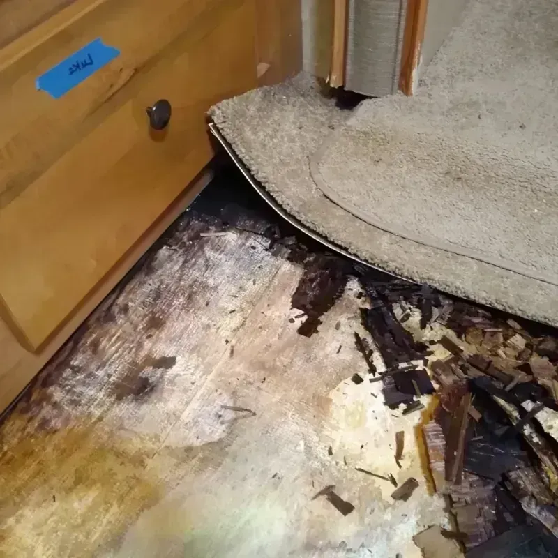 Wood Floor Water Damage in Las Palmas II, TX